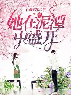 云上的歌