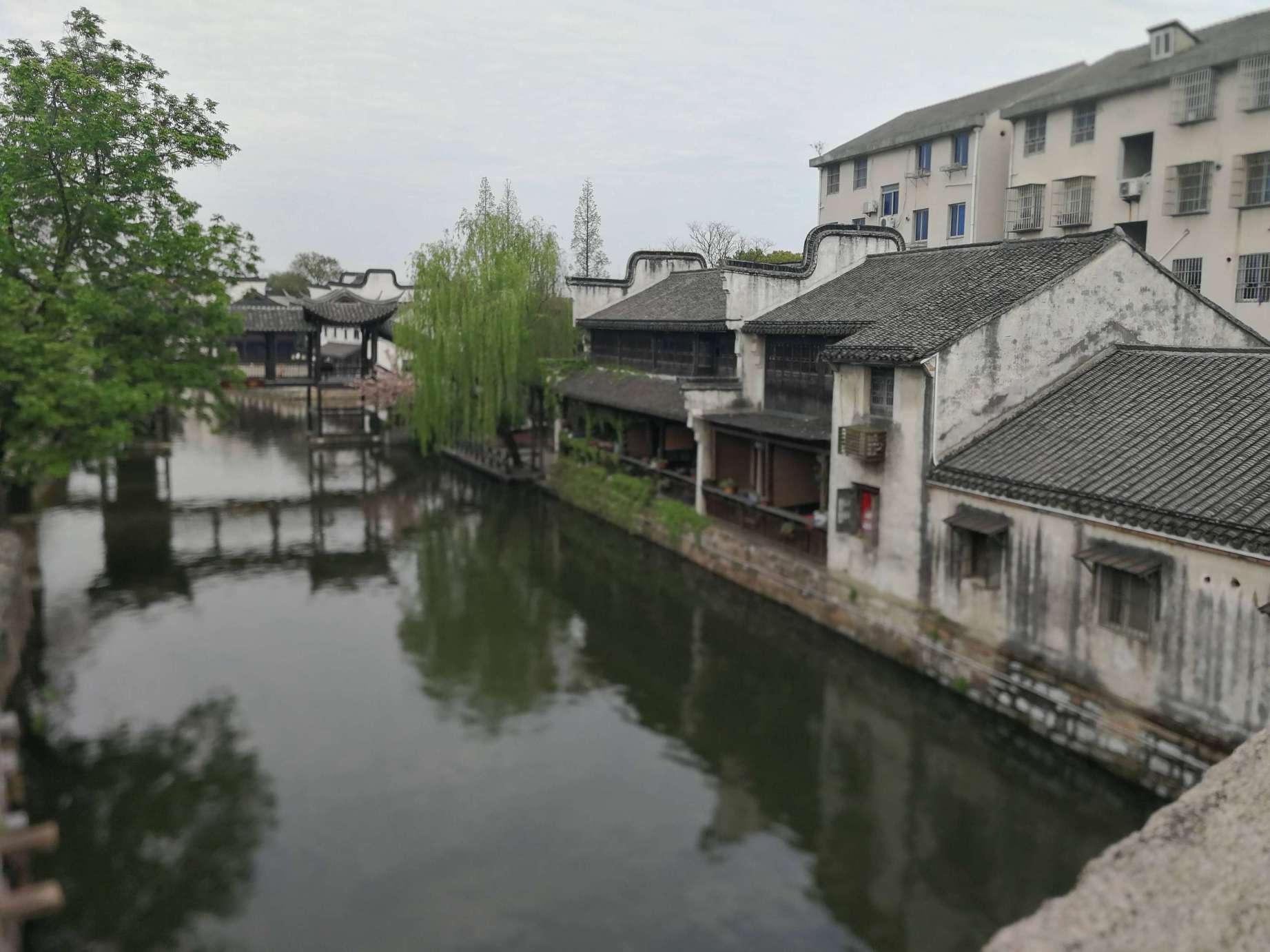 动物帮帮忙保卫家园